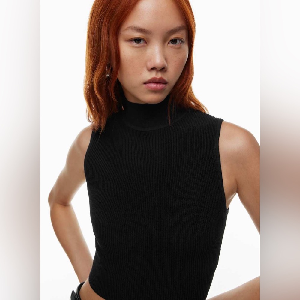 Babaton Aritzia Sculpt Knit Mockneck Tank - Black - XXS